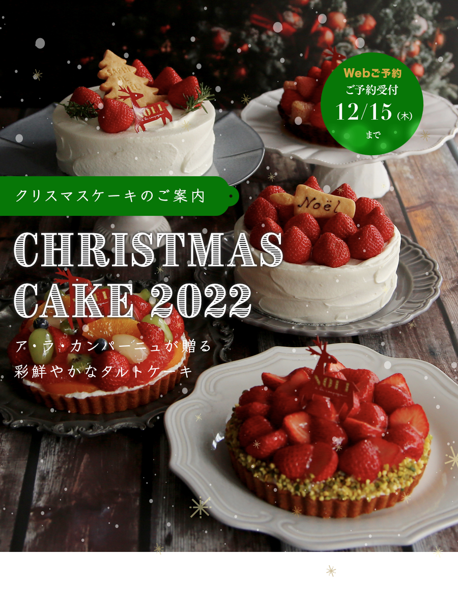2022 Christmas Cake