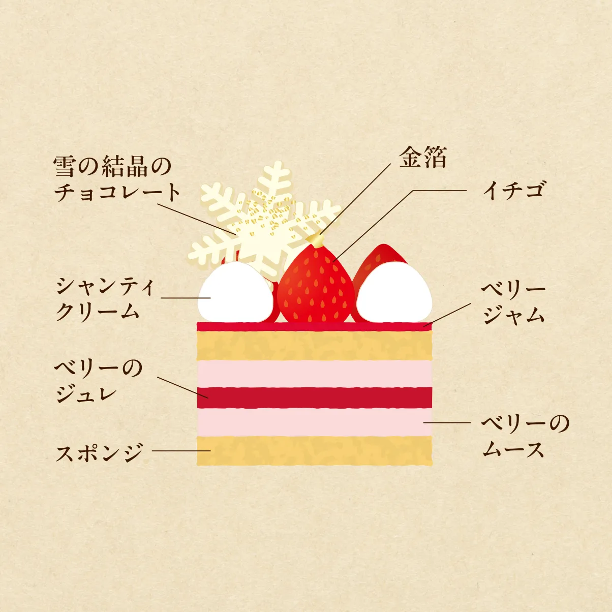 セゾン・ド・ルージュ断面図 Slide 2