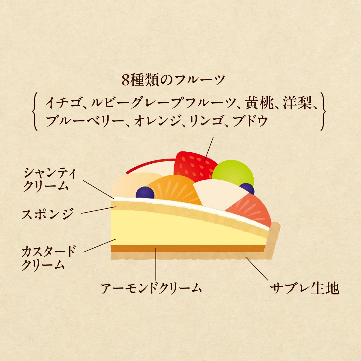 タルト・オ・フリュイ・ディベール断面図 Slide 2