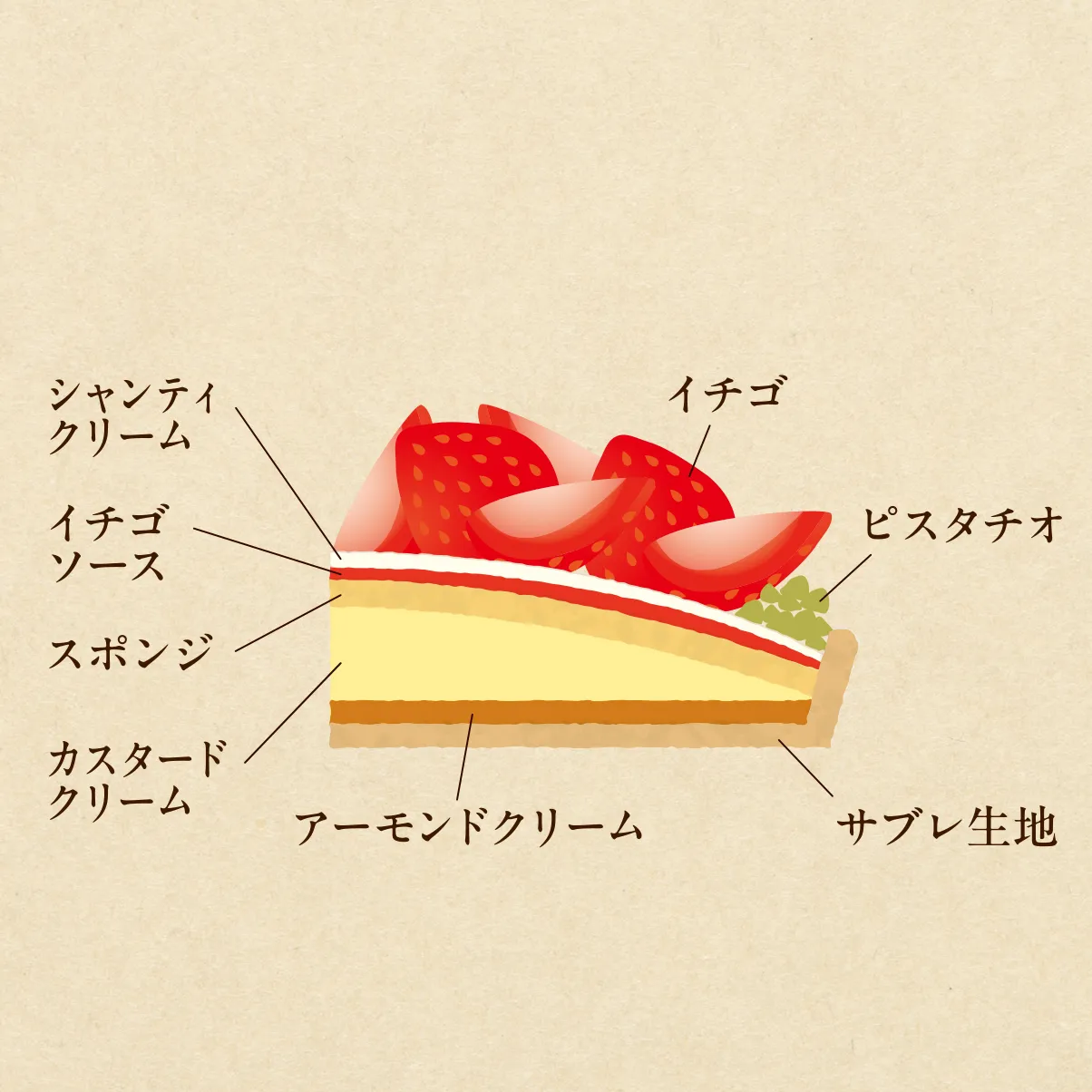コンテ・ド・ノエル断面図　Slide 2