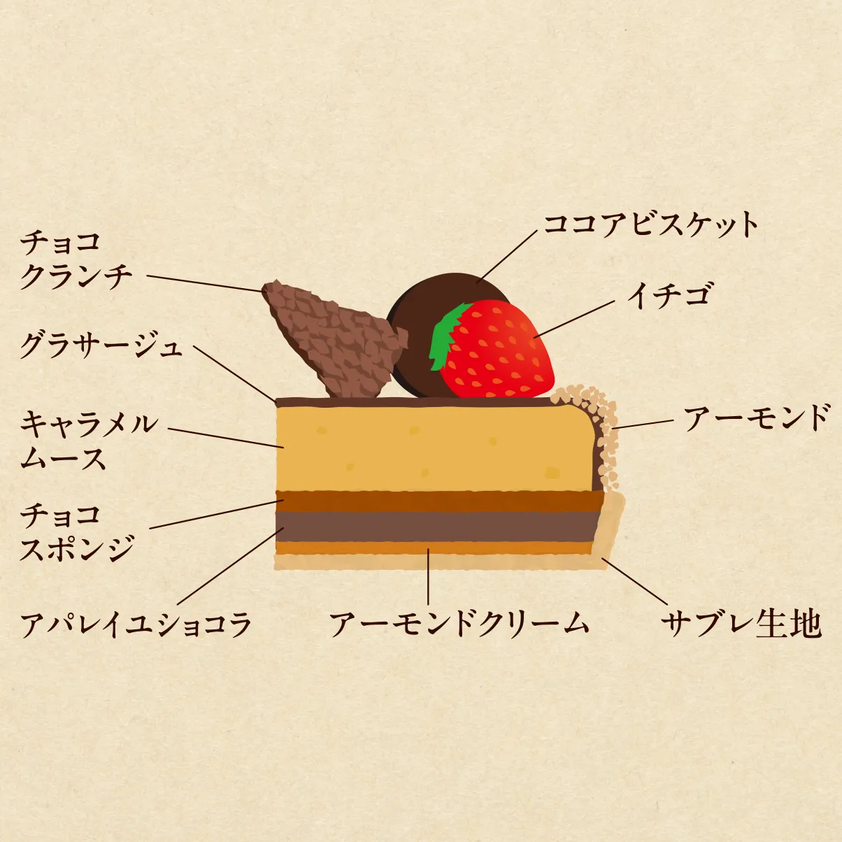 タルト・ド・ノエル・オ・ショコラ・エ・フレーズ断面図 Slide 2