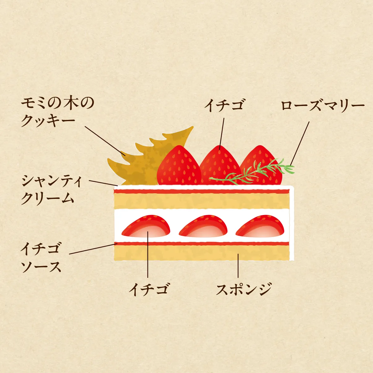 ジェノワーズ・オ・フレーズ断面図 Slide 2